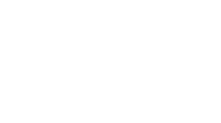 viking inn logo